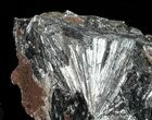 Metallic, Radiating Pyrolusite Cystals - Morocco #56960-3
